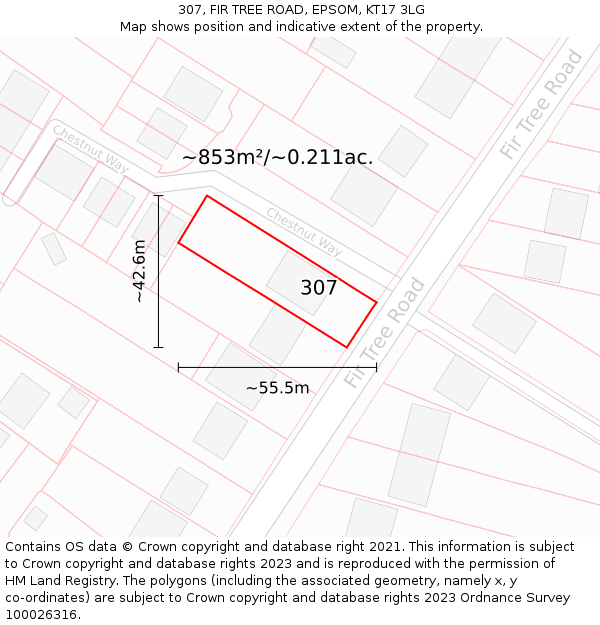 307, FIR TREE ROAD, EPSOM, KT17 3LG: Plot and title map