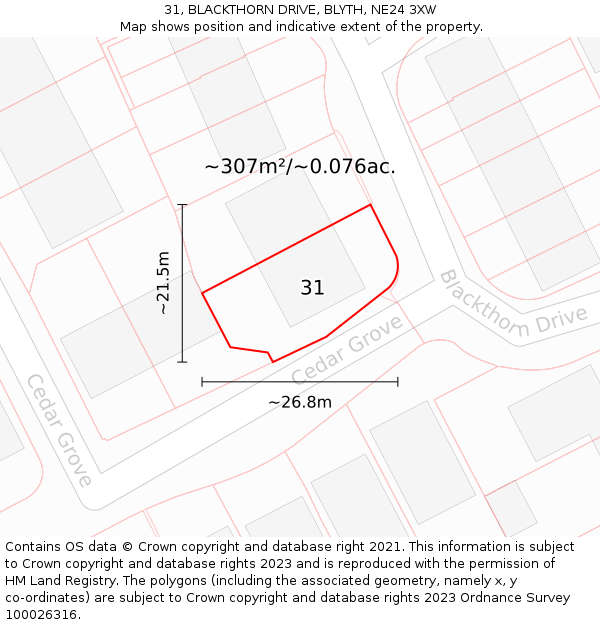 31, BLACKTHORN DRIVE, BLYTH, NE24 3XW: Plot and title map