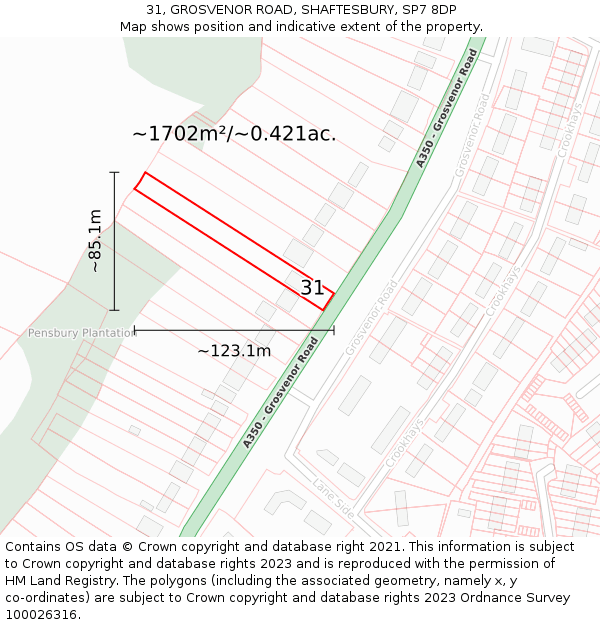 31, GROSVENOR ROAD, SHAFTESBURY, SP7 8DP: Plot and title map