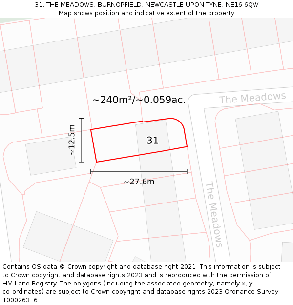 31, THE MEADOWS, BURNOPFIELD, NEWCASTLE UPON TYNE, NE16 6QW: Plot and title map