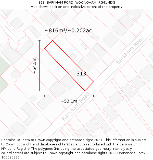 313, BARKHAM ROAD, WOKINGHAM, RG41 4DG: Plot and title map