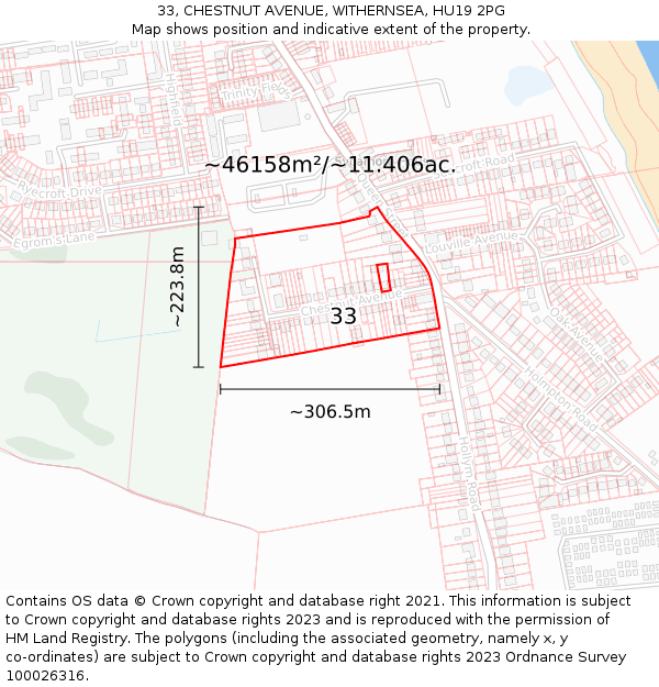 33, CHESTNUT AVENUE, WITHERNSEA, HU19 2PG: Plot and title map