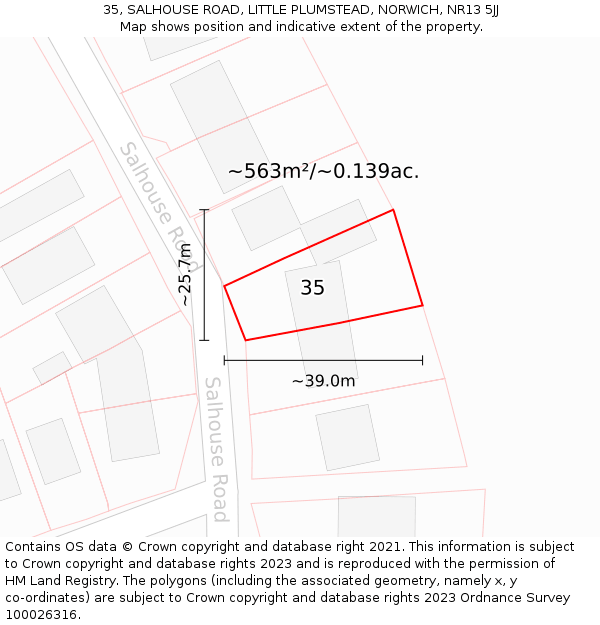 35, SALHOUSE ROAD, LITTLE PLUMSTEAD, NORWICH, NR13 5JJ: Plot and title map