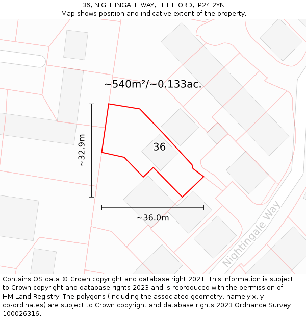 36, NIGHTINGALE WAY, THETFORD, IP24 2YN: Plot and title map