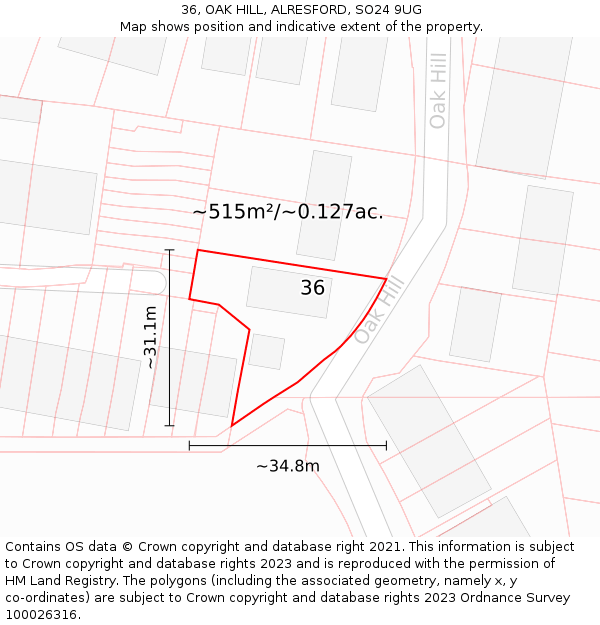 36, OAK HILL, ALRESFORD, SO24 9UG: Plot and title map