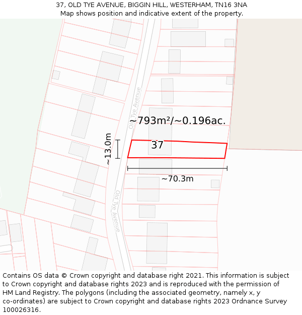 37, OLD TYE AVENUE, BIGGIN HILL, WESTERHAM, TN16 3NA: Plot and title map