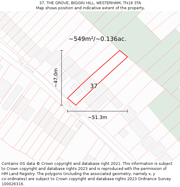 37, THE GROVE, BIGGIN HILL, WESTERHAM, TN16 3TA: Plot and title map