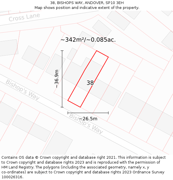 38, BISHOPS WAY, ANDOVER, SP10 3EH: Plot and title map