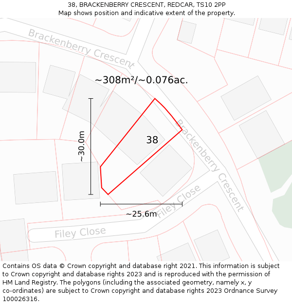 38, BRACKENBERRY CRESCENT, REDCAR, TS10 2PP: Plot and title map