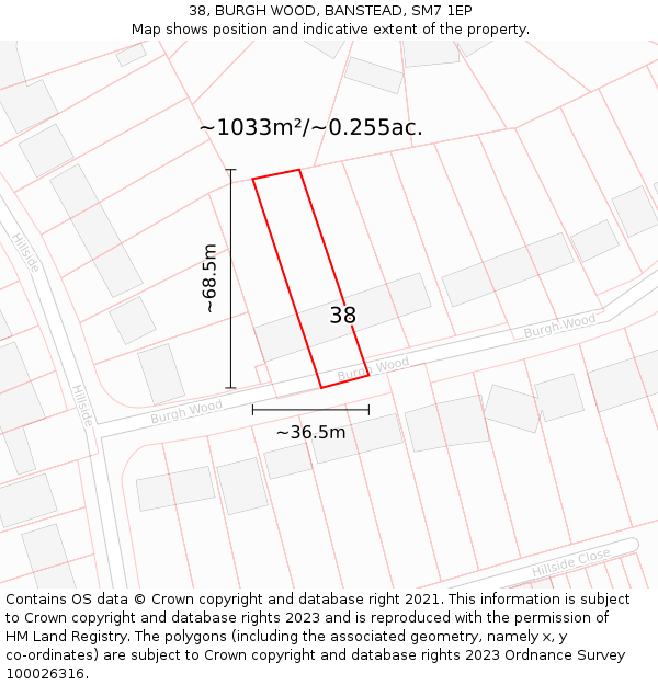 38, BURGH WOOD, BANSTEAD, SM7 1EP: Plot and title map