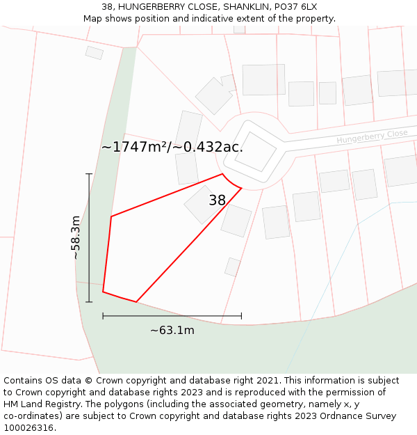 38, HUNGERBERRY CLOSE, SHANKLIN, PO37 6LX: Plot and title map