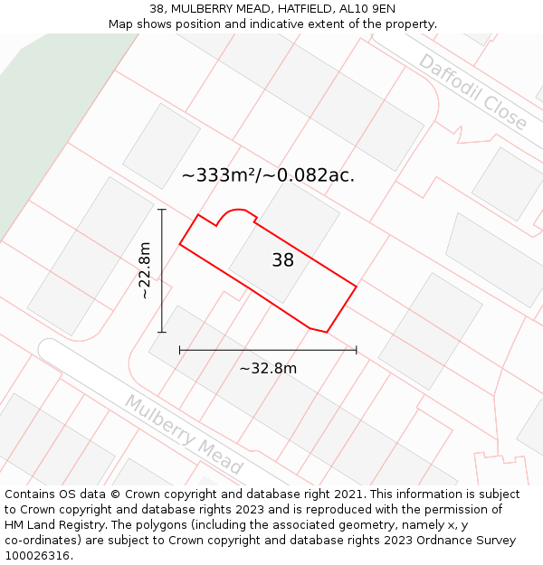 38, MULBERRY MEAD, HATFIELD, AL10 9EN: Plot and title map