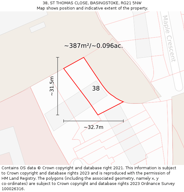 38, ST THOMAS CLOSE, BASINGSTOKE, RG21 5NW: Plot and title map