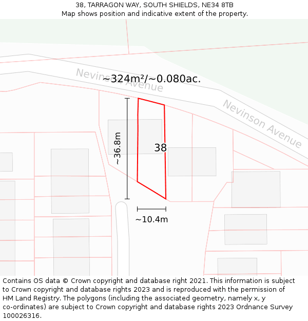 38, TARRAGON WAY, SOUTH SHIELDS, NE34 8TB: Plot and title map