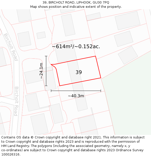 39, BIRCHOLT ROAD, LIPHOOK, GU30 7PQ: Plot and title map