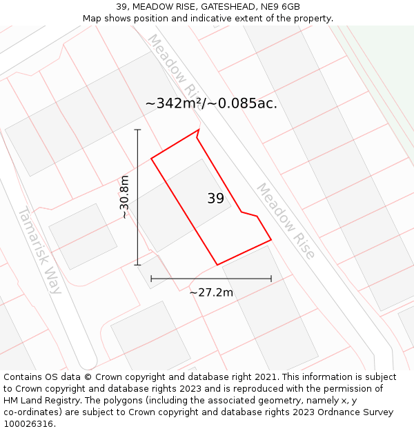 39, MEADOW RISE, GATESHEAD, NE9 6GB: Plot and title map