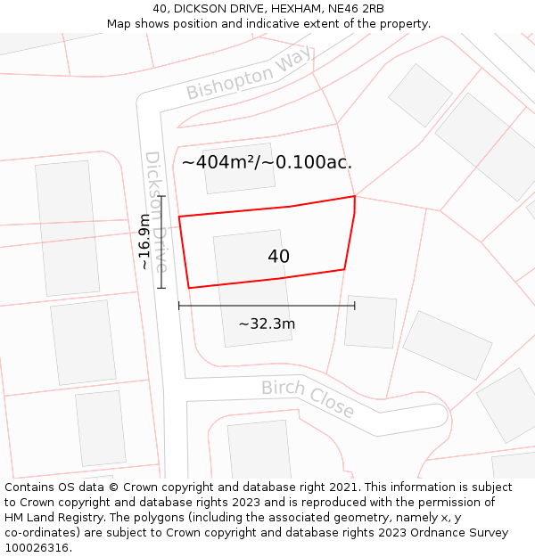 40, DICKSON DRIVE, HEXHAM, NE46 2RB: Plot and title map