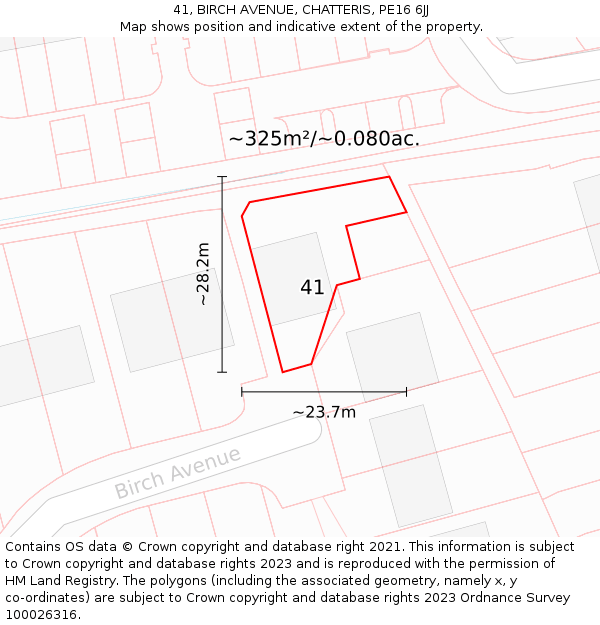 41, BIRCH AVENUE, CHATTERIS, PE16 6JJ: Plot and title map