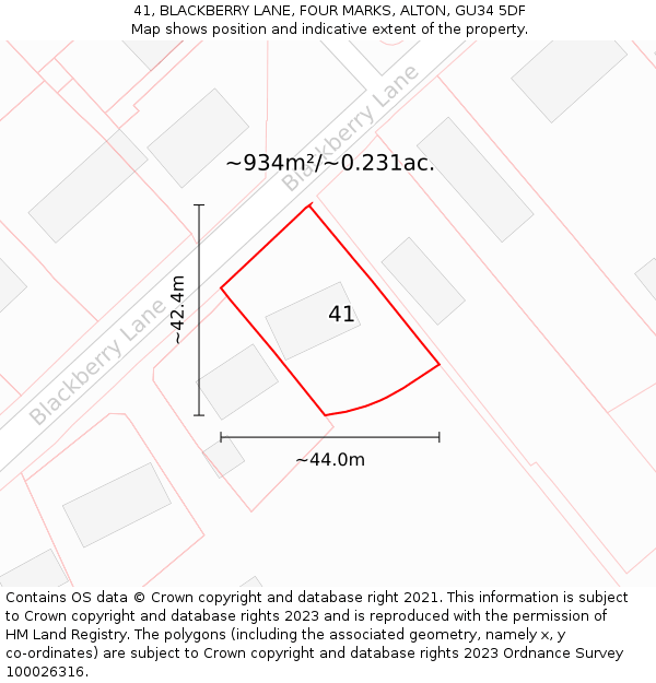 41, BLACKBERRY LANE, FOUR MARKS, ALTON, GU34 5DF: Plot and title map