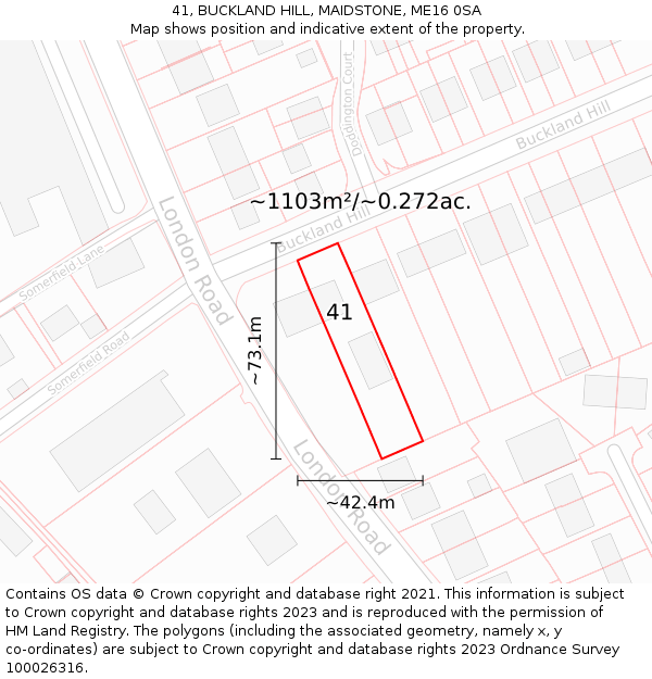 41, BUCKLAND HILL, MAIDSTONE, ME16 0SA: Plot and title map