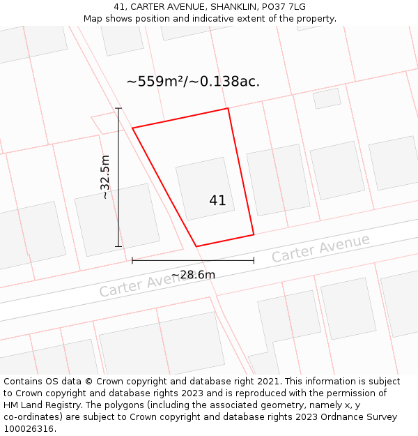 41, CARTER AVENUE, SHANKLIN, PO37 7LG: Plot and title map