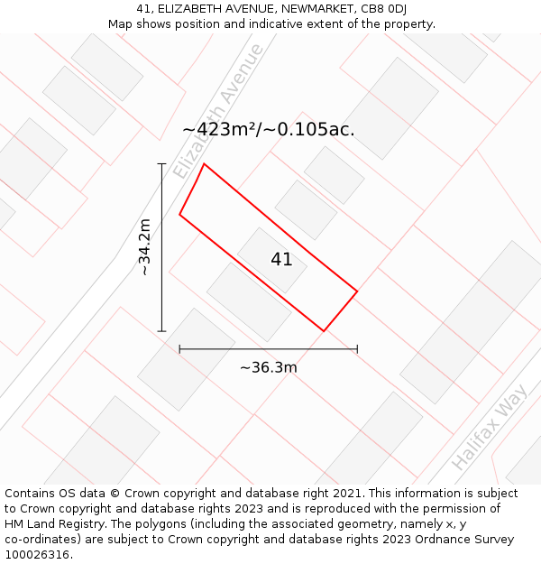 41, ELIZABETH AVENUE, NEWMARKET, CB8 0DJ: Plot and title map