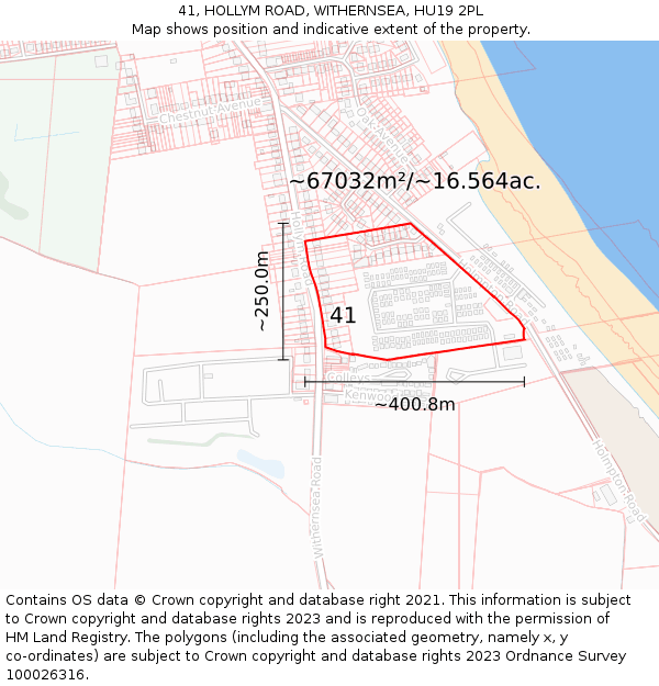 41, HOLLYM ROAD, WITHERNSEA, HU19 2PL: Plot and title map