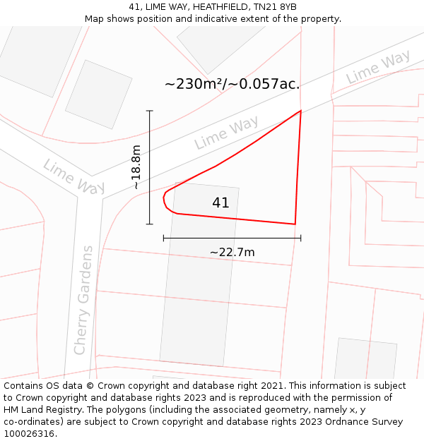 41, LIME WAY, HEATHFIELD, TN21 8YB: Plot and title map