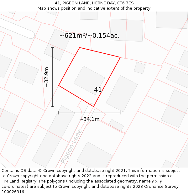 41, PIGEON LANE, HERNE BAY, CT6 7ES: Plot and title map