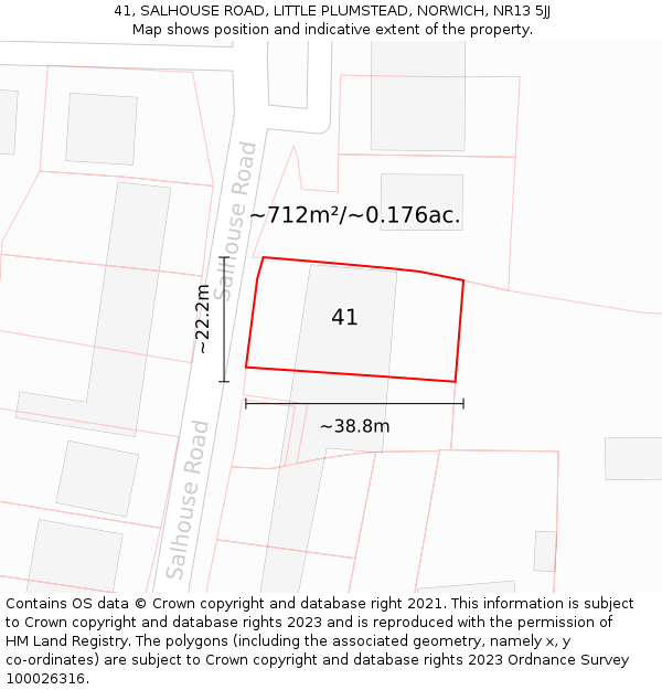 41, SALHOUSE ROAD, LITTLE PLUMSTEAD, NORWICH, NR13 5JJ: Plot and title map