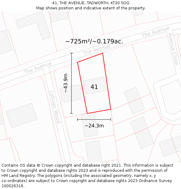 41, THE AVENUE, TADWORTH, KT20 5DG: Plot and title map