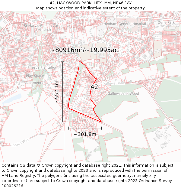 42, HACKWOOD PARK, HEXHAM, NE46 1AY: Plot and title map