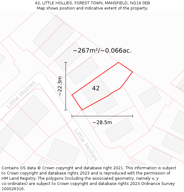 42, LITTLE HOLLIES, FOREST TOWN, MANSFIELD, NG19 0EB: Plot and title map