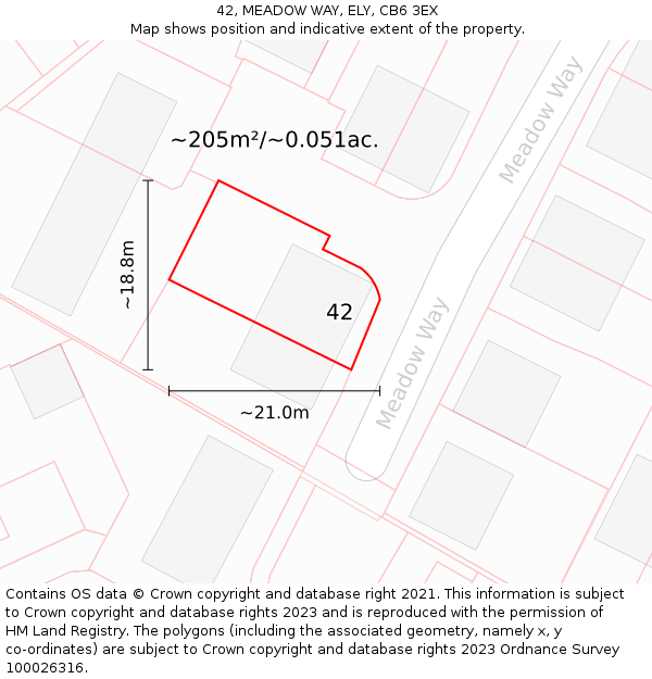 42, MEADOW WAY, ELY, CB6 3EX: Plot and title map