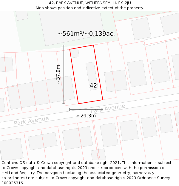 42, PARK AVENUE, WITHERNSEA, HU19 2JU: Plot and title map