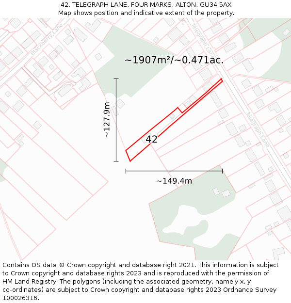 42, TELEGRAPH LANE, FOUR MARKS, ALTON, GU34 5AX: Plot and title map