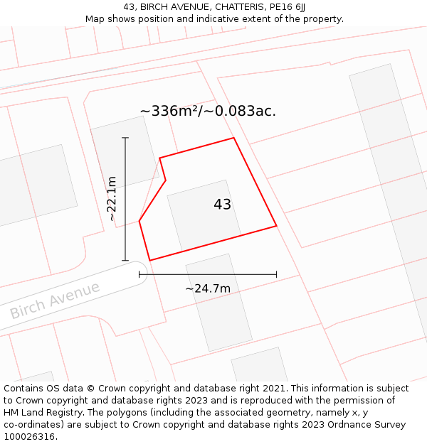 43, BIRCH AVENUE, CHATTERIS, PE16 6JJ: Plot and title map