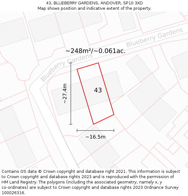 43, BLUEBERRY GARDENS, ANDOVER, SP10 3XD: Plot and title map