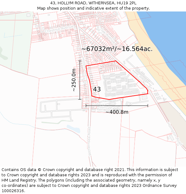 43, HOLLYM ROAD, WITHERNSEA, HU19 2PL: Plot and title map