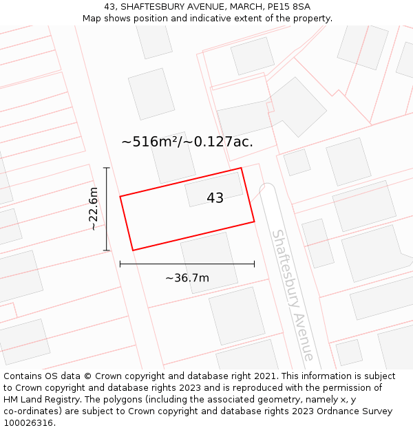 43, SHAFTESBURY AVENUE, MARCH, PE15 8SA: Plot and title map
