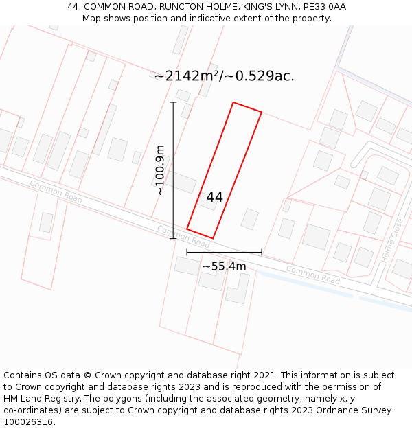 44, COMMON ROAD, RUNCTON HOLME, KING'S LYNN, PE33 0AA: Plot and title map