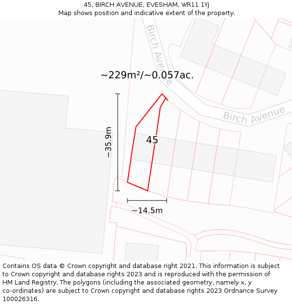 45, BIRCH AVENUE, EVESHAM, WR11 1YJ: Plot and title map