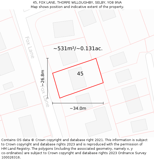 45, FOX LANE, THORPE WILLOUGHBY, SELBY, YO8 9NA: Plot and title map