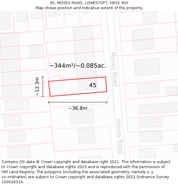 45, MOYES ROAD, LOWESTOFT, NR32 3NY: Plot and title map