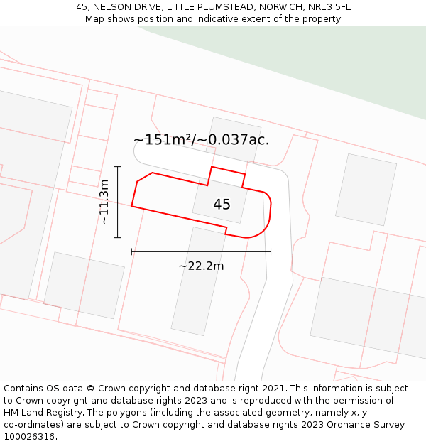 45, NELSON DRIVE, LITTLE PLUMSTEAD, NORWICH, NR13 5FL: Plot and title map