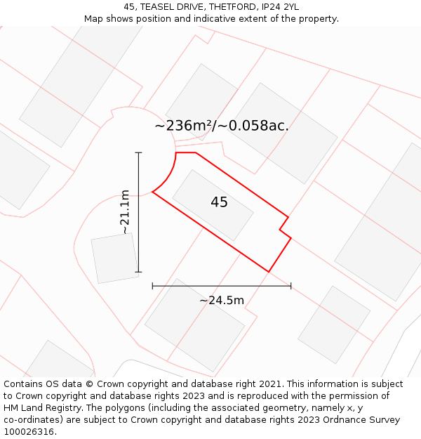 45, TEASEL DRIVE, THETFORD, IP24 2YL: Plot and title map