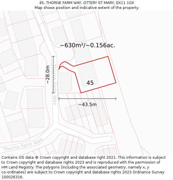 45, THORNE FARM WAY, OTTERY ST MARY, EX11 1GX: Plot and title map