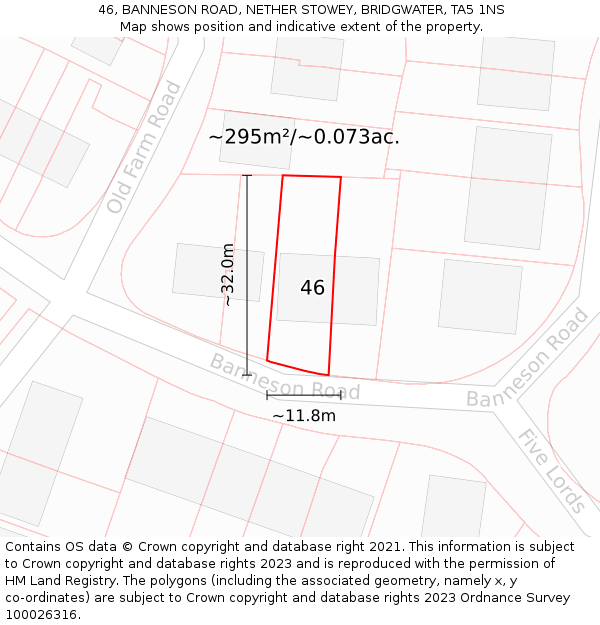 46, BANNESON ROAD, NETHER STOWEY, BRIDGWATER, TA5 1NS: Plot and title map