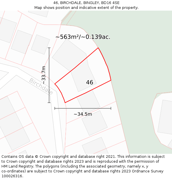 46, BIRCHDALE, BINGLEY, BD16 4SE: Plot and title map