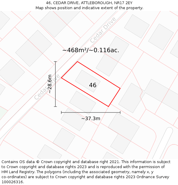 46, CEDAR DRIVE, ATTLEBOROUGH, NR17 2EY: Plot and title map